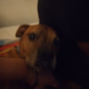 Meet your Posher, Jonathon hill